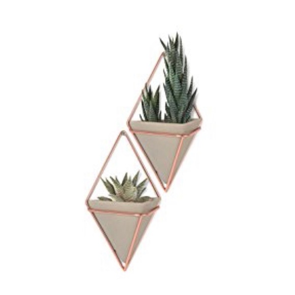 Wall Hanging Decor - Picture 1 of 5